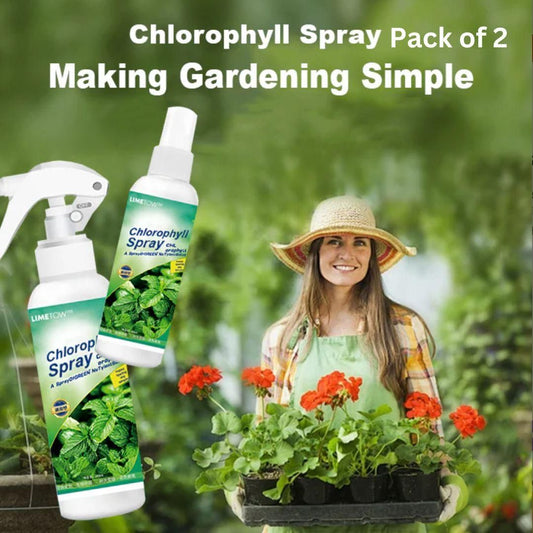 Chlorophll Spray 100ML (Pack of 2)