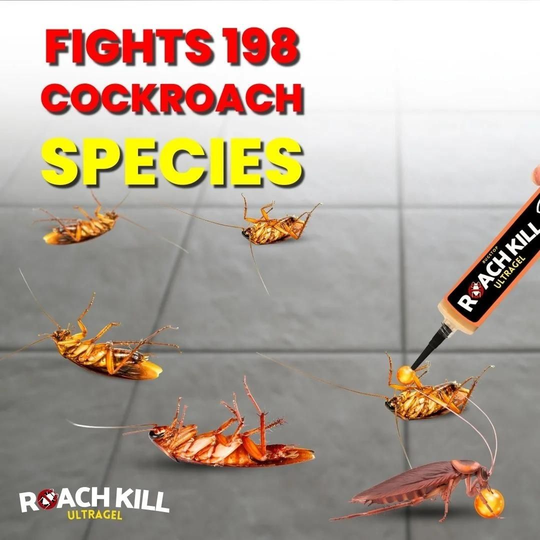 Roach Kill Ultragel (Pack of 2)