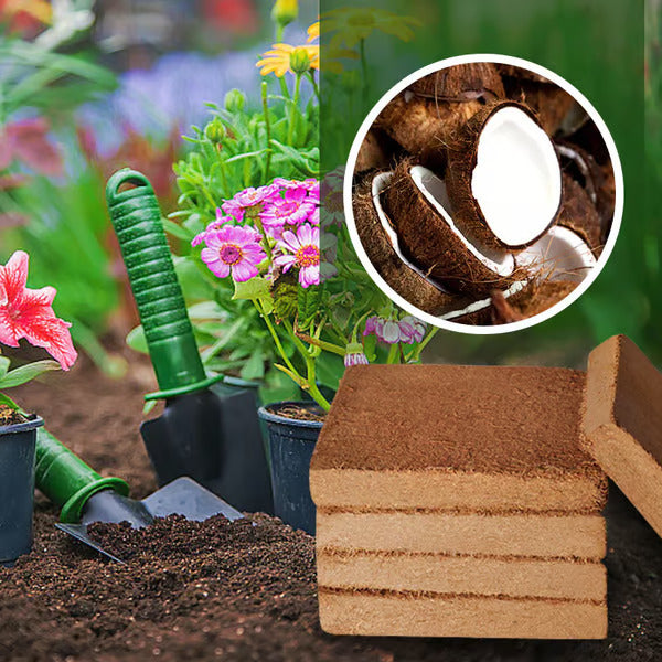 Organic Coconut Peat for Plants