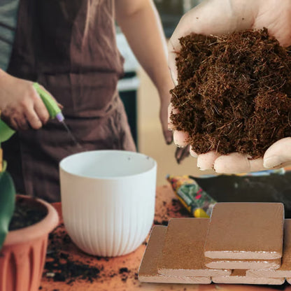 Organic Coconut Peat for Plants