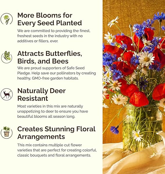 ✨Midwest Wildflower Seed Mix (30+ Varieties) —— Low maintenance👨‍🌾